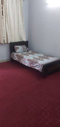 I-8/3. Fully furnished room with atch bathroom available for rent