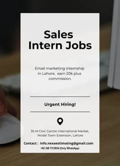 Sales Marketing Internee