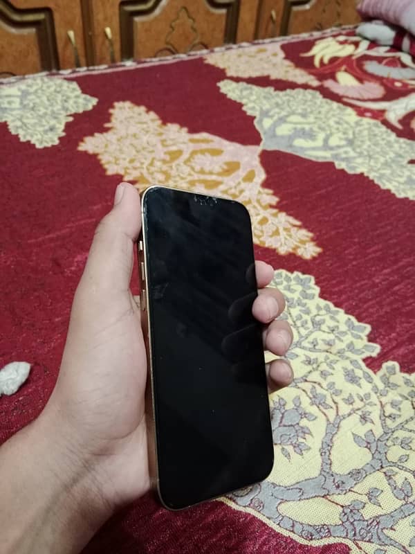 iphone 12 pro max pta approved 2