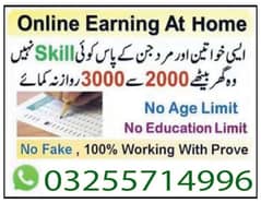 Online job available, Typing/Assignment/Data Entry/Ad posting etc