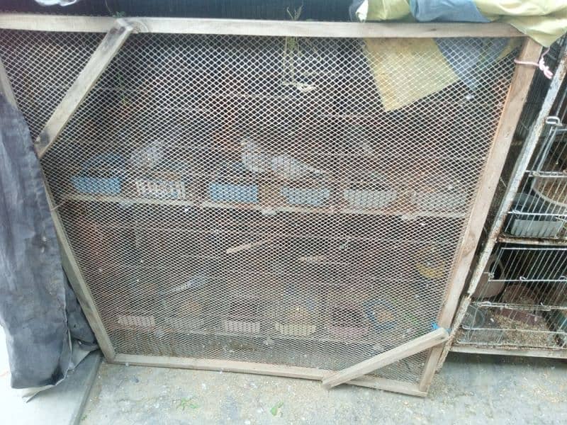 6 portion cage 2