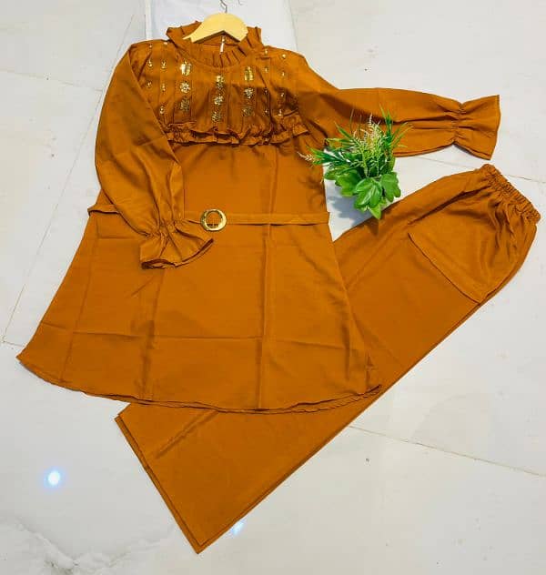 *Western  Embroidered Top* *and Plazu* 17