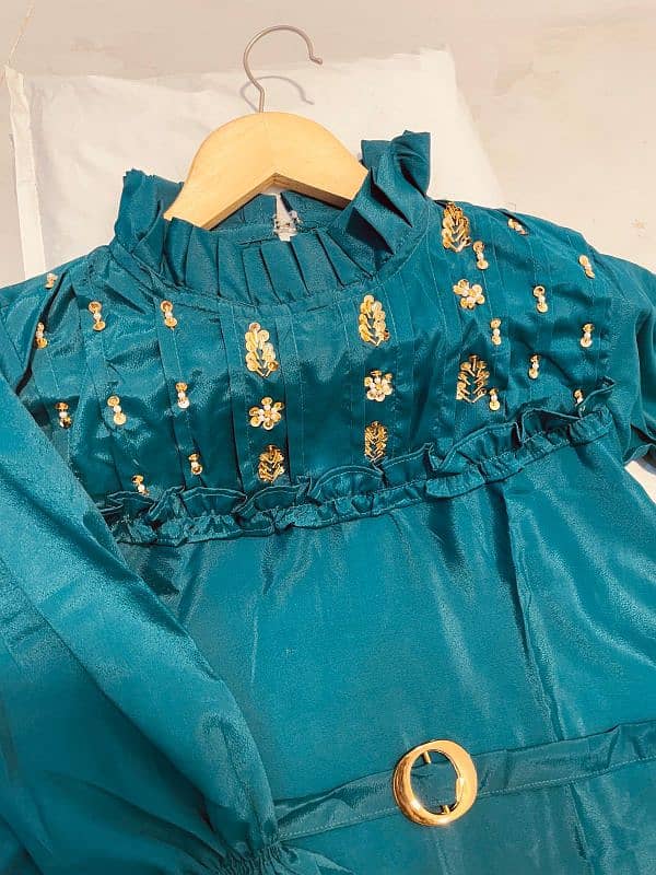 *Western  Embroidered Top* *and Plazu* 19