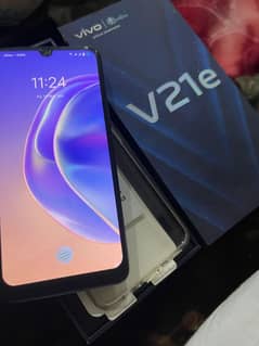 vivo