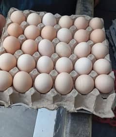 pure desi eggs for sale home delivery available