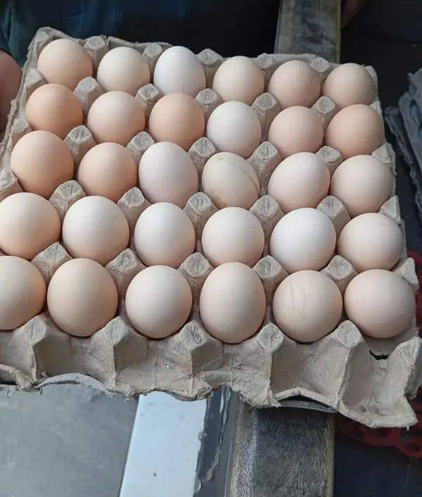 pure desi eggs for sale home delivery available 0