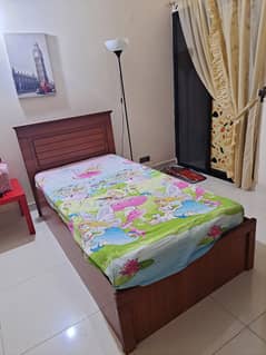 Two (2) Single bed with Molty Master Mattress Premium Quality