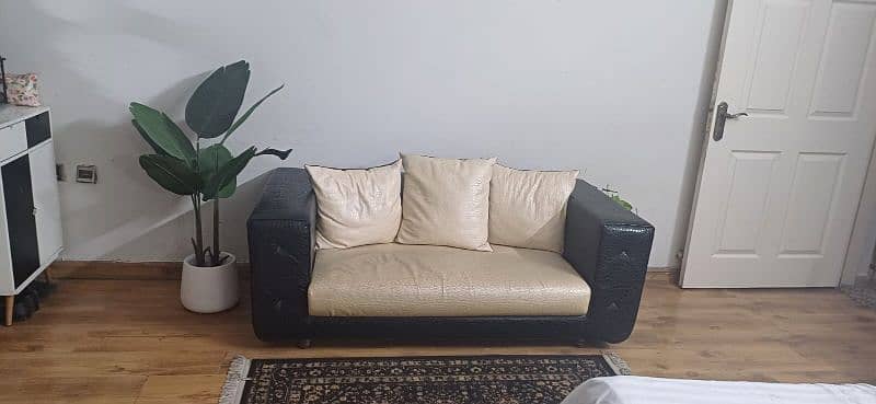 2 Seater Sofa 2