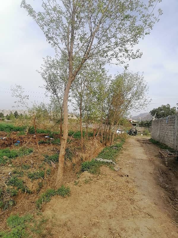 20 Marla Plot for Hostel in Taxila Wahcantt 6