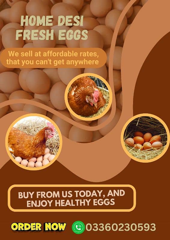 Fresh Desi Eggs store 0