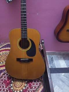 Cort Big size Acoustic guitar