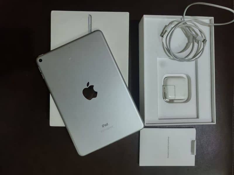 ipad Mini 5 0