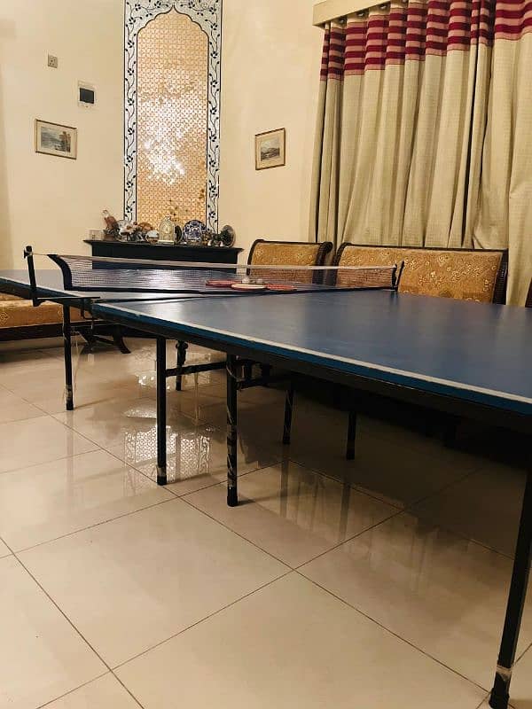 Table tennis table 4