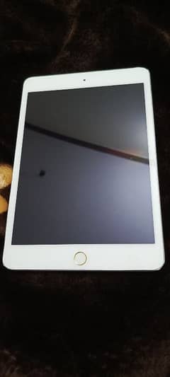 ipad mini 5 6 7 8 9 air pro with original charger