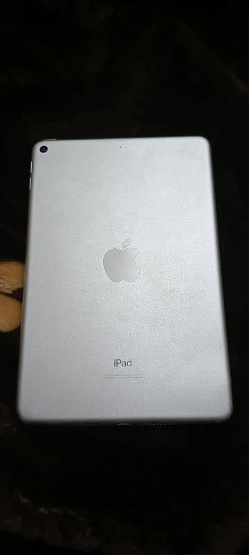 ipad mini 5 6 7 8 9 air pro with original charger 1