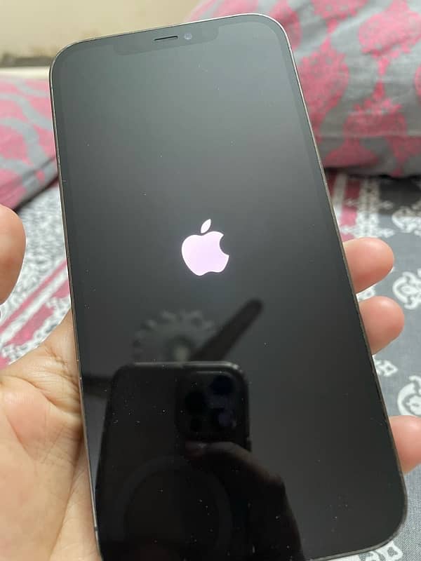 iPhone 12 pro max pta approved 5