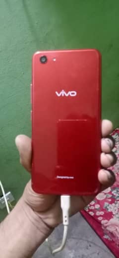 vivo