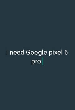 Google pixel 6 pro