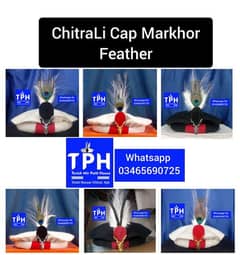 ChitraLi Cap Markhor Feather