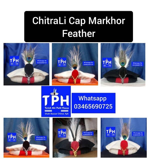 ChitraLi Cap Markhor Feather 0