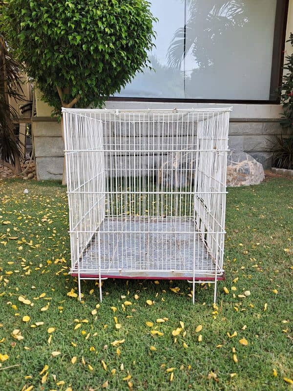 cage for birds,hens and more 1