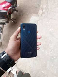 vivo