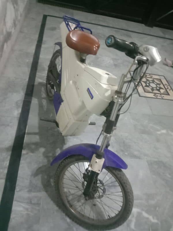 electric cycle 3