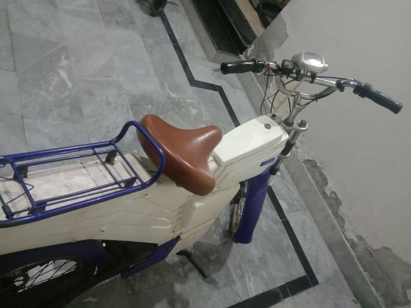 electric cycle 4