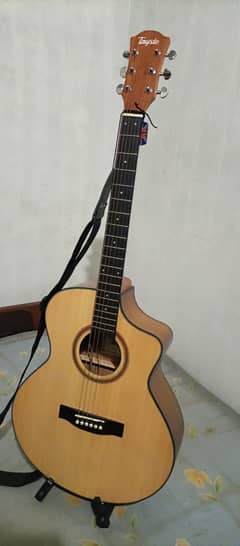 Semi Acoustic Guitar