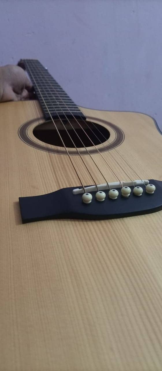 Semi Acoustic Guitar 1