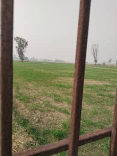 Agriculture land for sale Village Bheko Chak Shakargarh