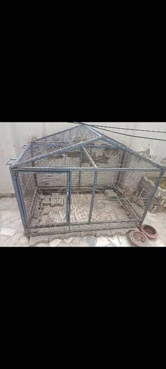 hens iron cage