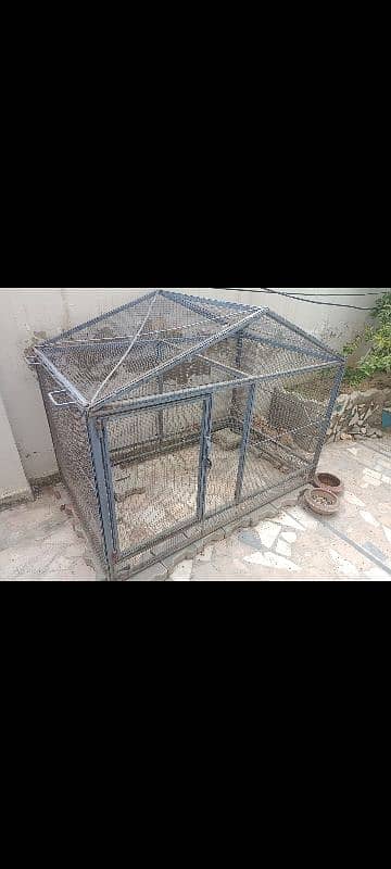 hens iron cage 1