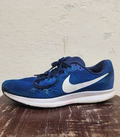 Nike Zoom Pegasus 34