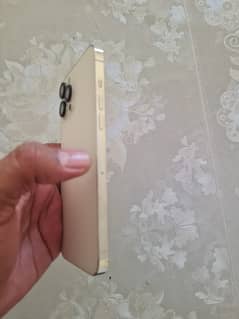 Iphone 12 pro max 256 GB