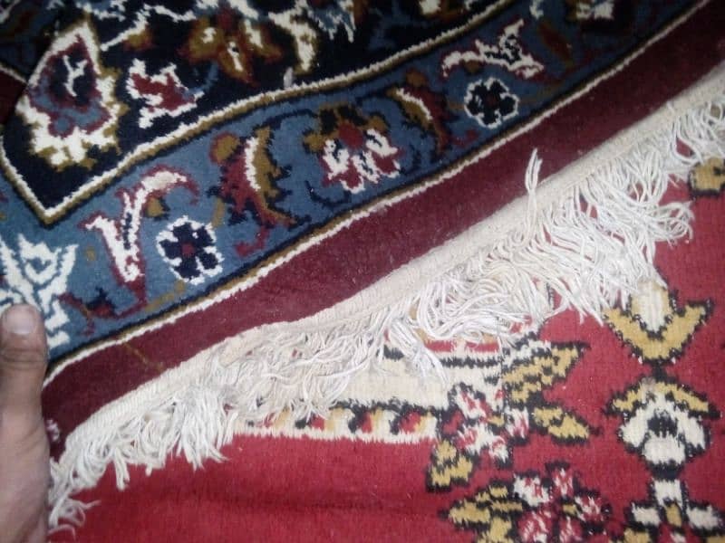 irani pure carpet mehroon colour 1