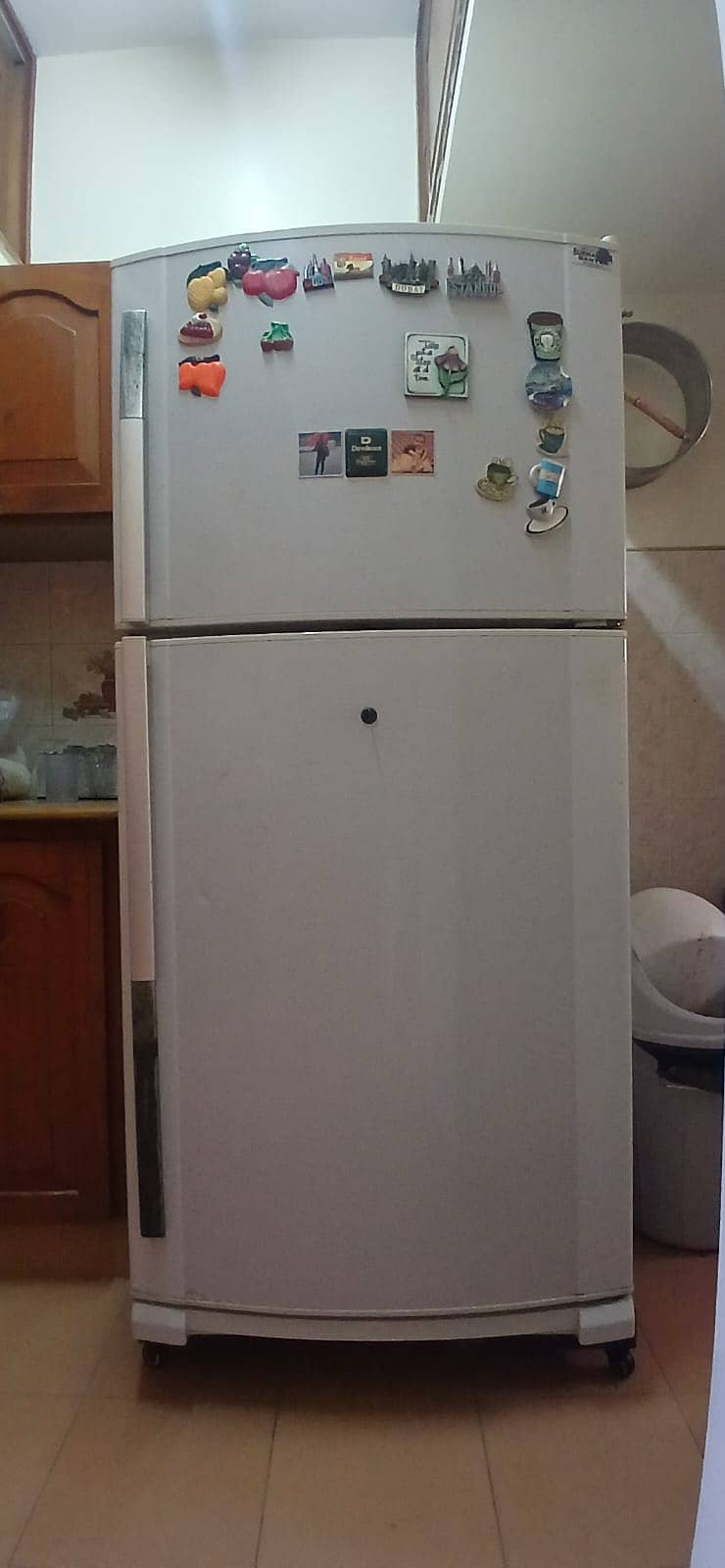 DAWLANCE - (FRIDGE + FREEZER) DW40 0