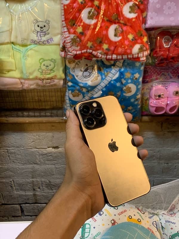 iPhone 13 Pro 0