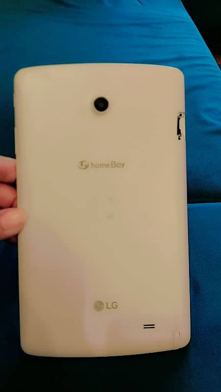 LG home boy tan 1