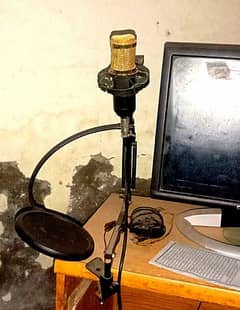 bm800 mic