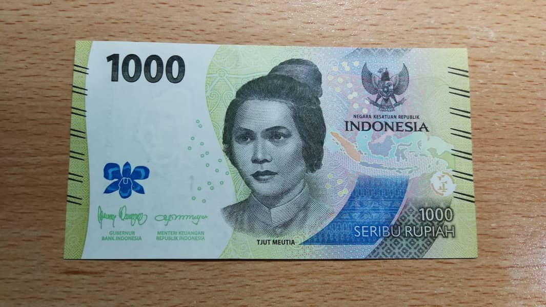 Antiqe Currency Bank Note 6