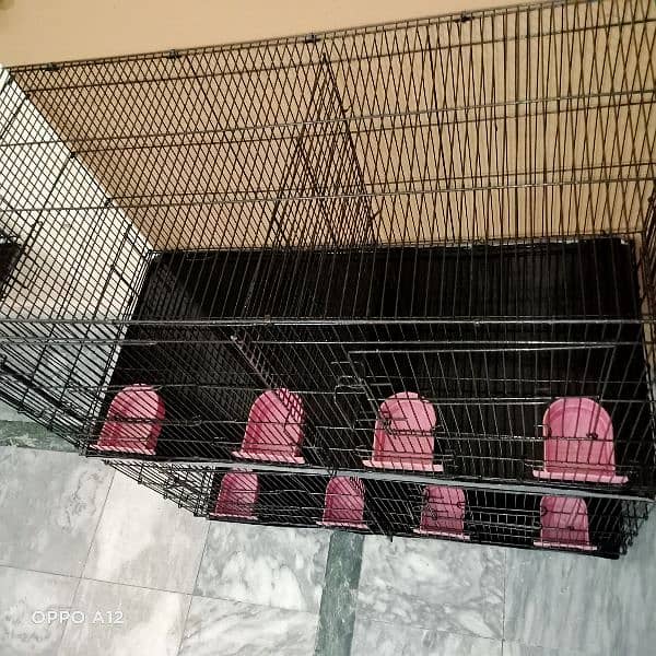 2 cages and Breeding boxs 4