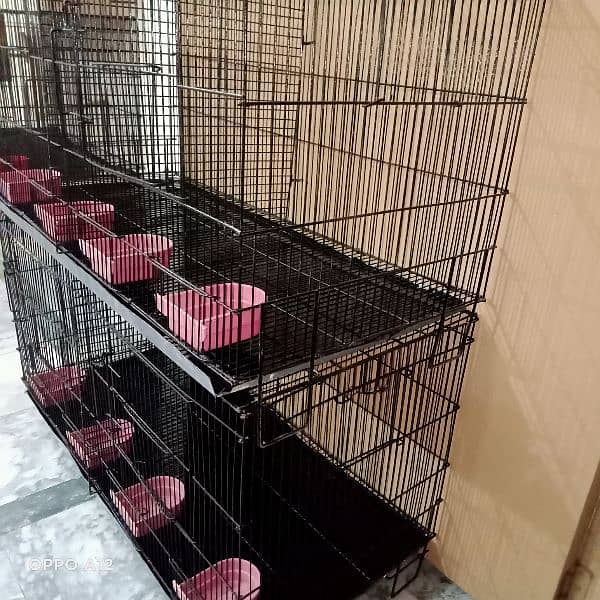 2 cages and Breeding boxs 5