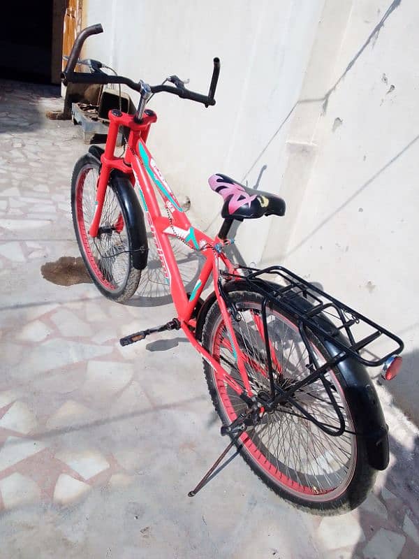 Shaino cycle for sale 0