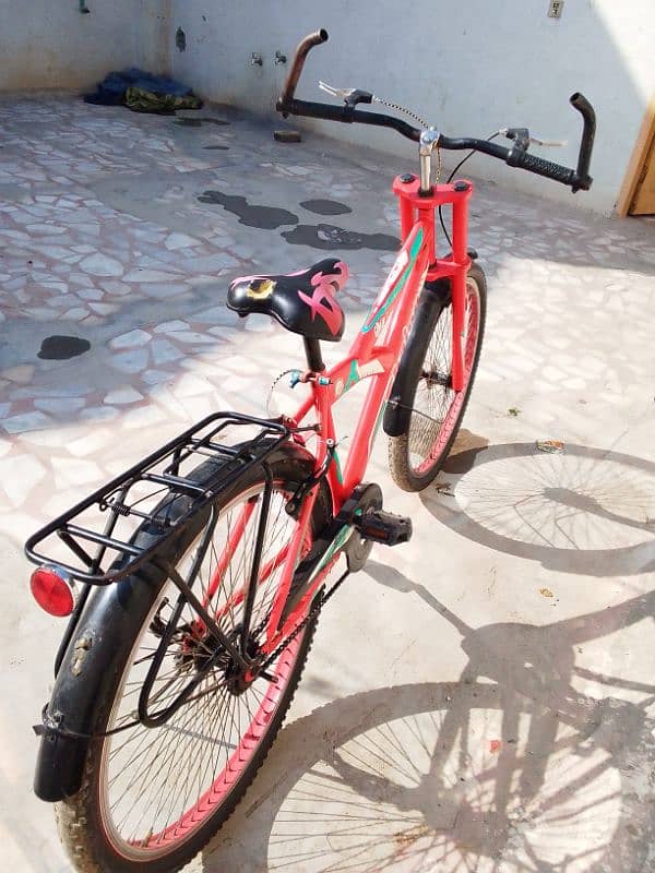 Shaino cycle for sale 1