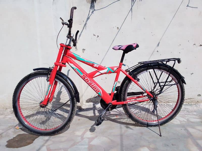 Shaino cycle for sale 2