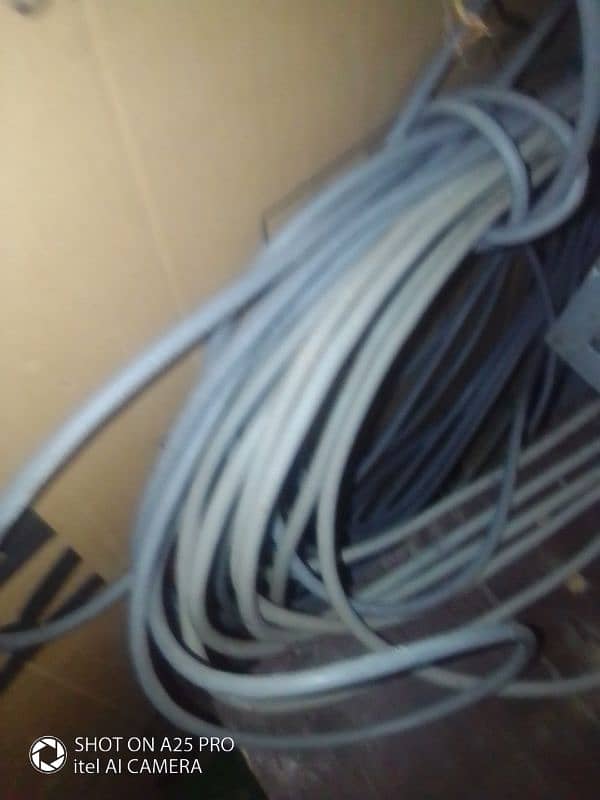 cat 6 2