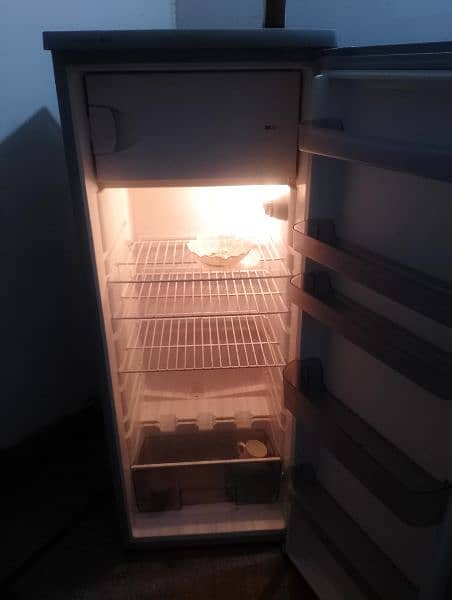 medium size fridge 6