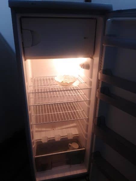 medium size fridge 7