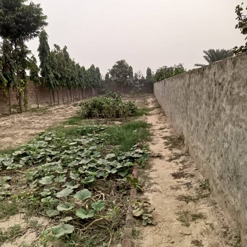 5 Kanal Farm House For Sale Near Bahria Town Lahore, and Ada plot Ring Road. 1